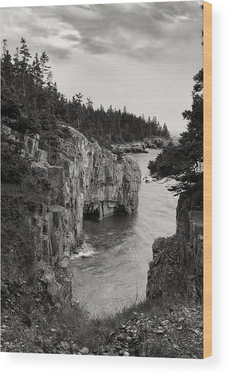 Acadia Wood Print featuring the photograph Ravens Roost #5 by Dale J Martin