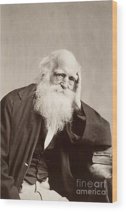 19th Century Wood Print featuring the photograph William Cullen Bryant #8 by Granger