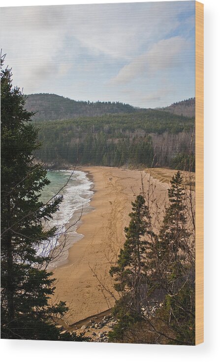 Beach Wood Print featuring the photograph A Beautiful Place by Greg DeBeck