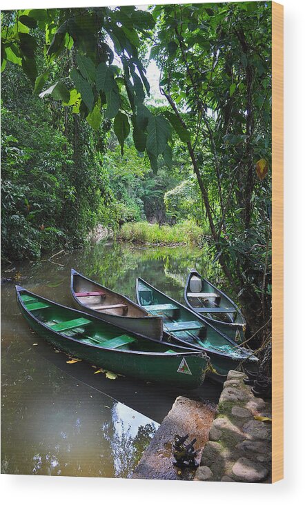 Canoe Wood Print featuring the photograph A Peaceful Place by Li Newton