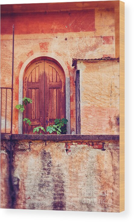 Door Wood Print featuring the photograph Abandoned building door with leaves by Silvia Ganora