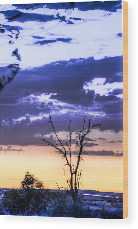 Sunset Wood Print featuring the photograph Alone by Marta Cavazos-Hernandez