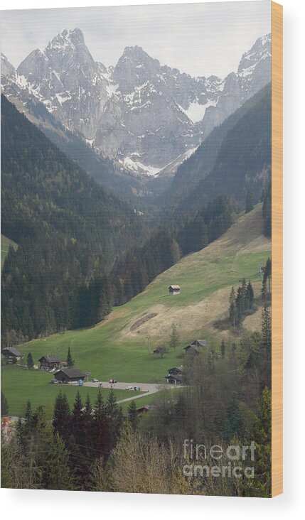 Switzerland Wood Print featuring the photograph Alpes by Milena Boeva