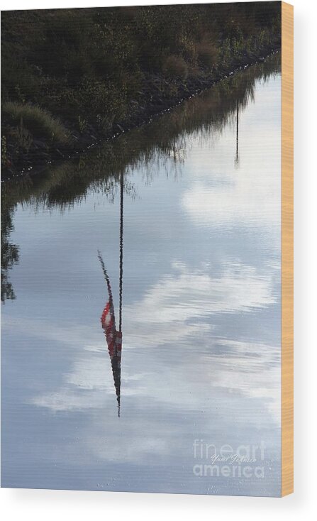 Flags Wood Print featuring the photograph American flag are refleting on the River by Yumi Johnson