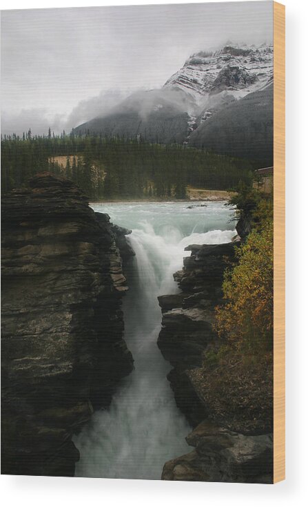 Athabasca Falls Wood Print featuring the photograph Athabasca Falls Jasper National Park by Benjamin Dahl