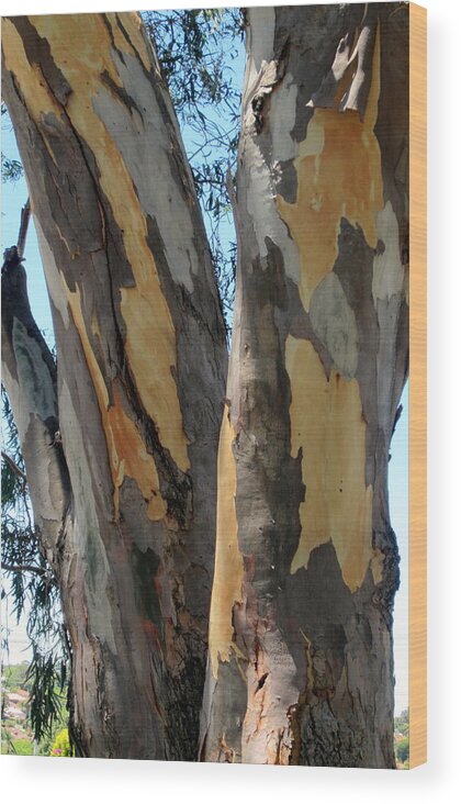 Australian Tree Wood Print featuring the photograph Australian tree by Roberto Gagliardi