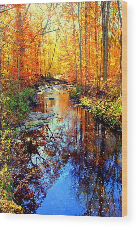  Wood Print featuring the digital art Autumn Colors 11 by Aron Chervin