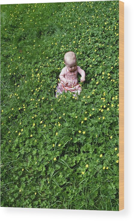 Beautiful Baby Wood Print featuring the photograph Baby In a Field of Flowers by Lorraine Devon Wilke