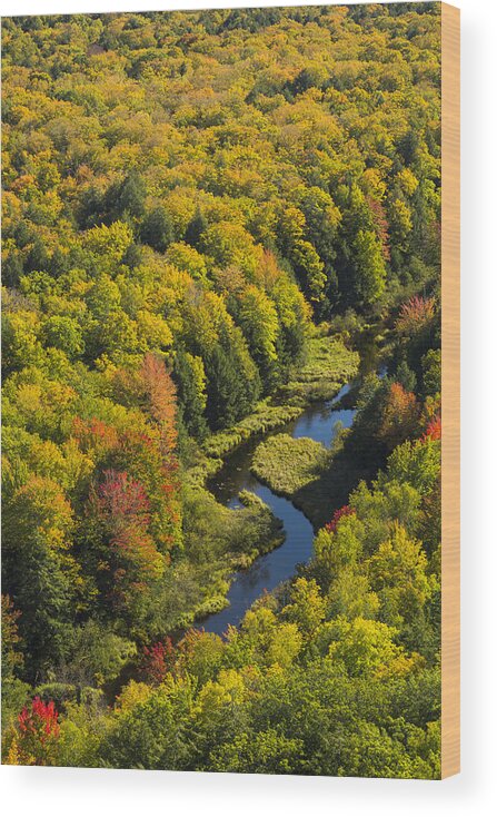 River Wood Print featuring the photograph Big Carp River 2 by John Brueske