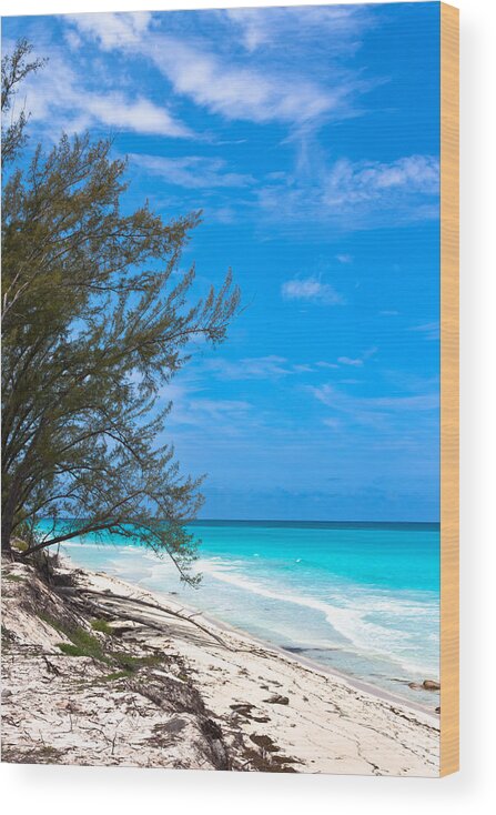 Aquamarine Wood Print featuring the photograph Bimini Beach by Ed Gleichman