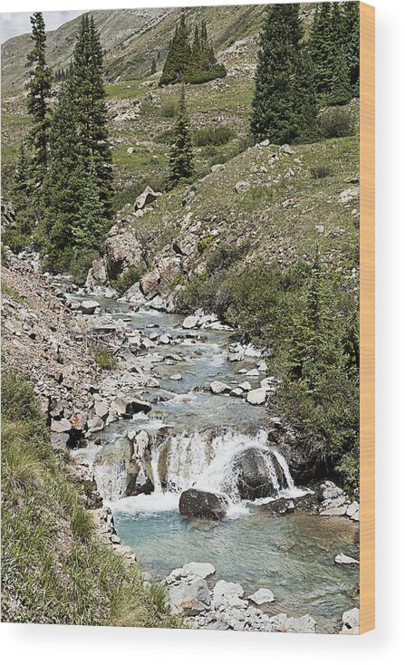 Best Sellers Wood Print featuring the photograph Blue Mountain Stream by Melany Sarafis