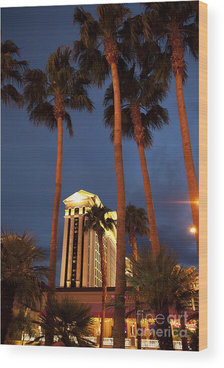 America Wood Print featuring the photograph Caesars Palace 6 by Jane Rix