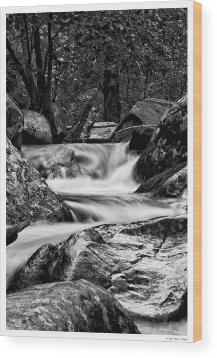 Water Wood Print featuring the photograph Calming Waters by Scott Wyatt