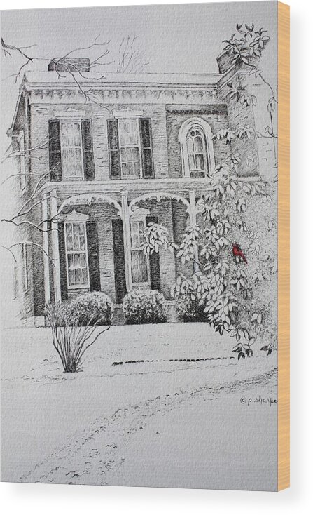 Historic Home Wood Print featuring the drawing Cardinal by Patsy Sharpe