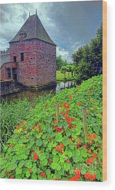 Chateau Wood Print featuring the photograph Chateau Tower and Nasturtiums by Dave Mills