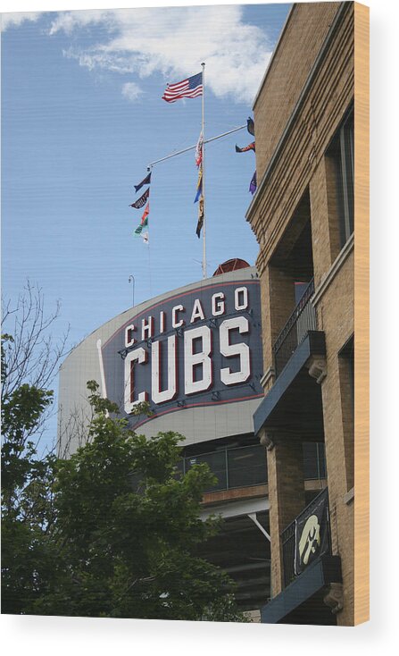 Chicago Wood Print featuring the photograph Chicago Cubs by Laura Kinker