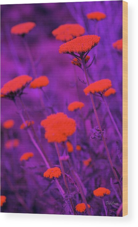 Nature Wood Print featuring the photograph Chromatic Florals by Deborah Crew-Johnson