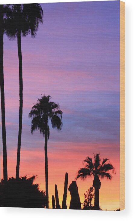 Sunset Wood Print featuring the photograph Colors of the Rainbow by Kim Galluzzo