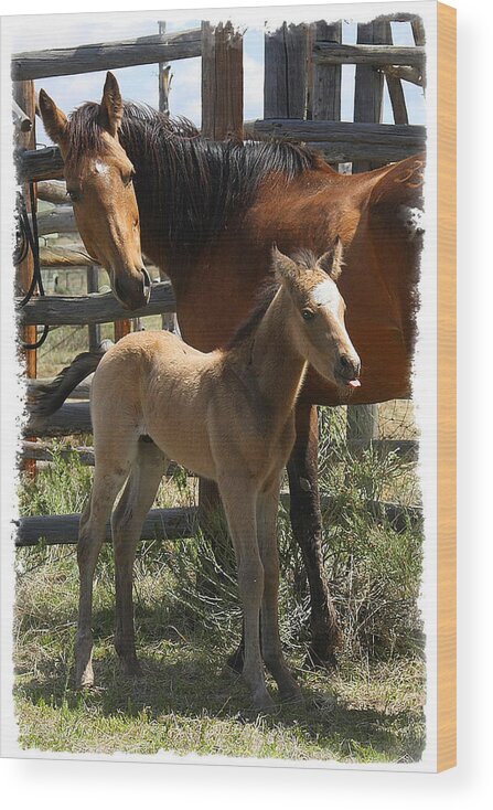 Horse Wood Print featuring the photograph Dam and Foal by Judy Deist