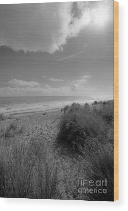 Sun Wood Print featuring the photograph Dreaming of The Beach by Darren Burroughs