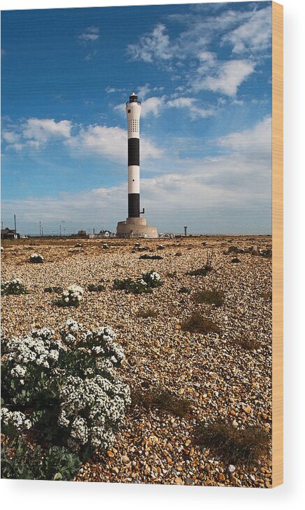 Lighthouse Wood Print featuring the photograph Dungeness Lighthouse by Bel Menpes
