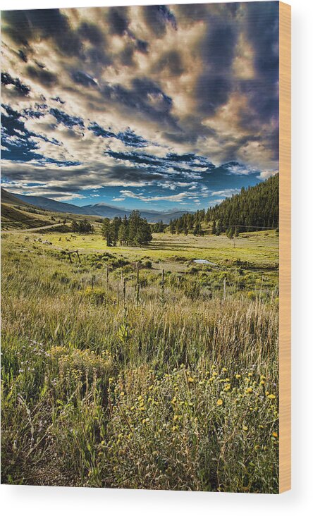 Elizabethtown Nm Wood Print featuring the photograph E Town Sky by Ron Weathers