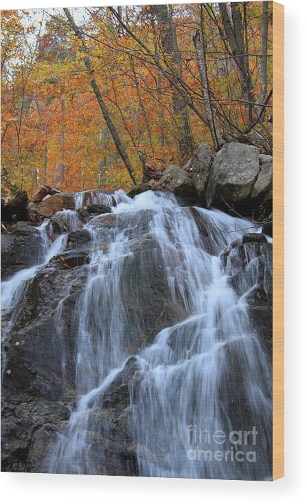 Fall Foliage Wood Print featuring the photograph Evans Notch Waterfall by Brenda Giasson
