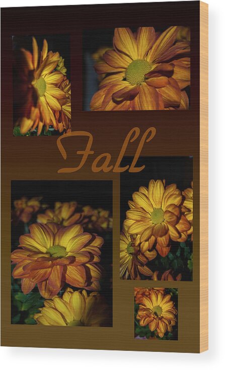 Mums Wood Print featuring the photograph Fall Flowers Collage by Judy Hall-Folde