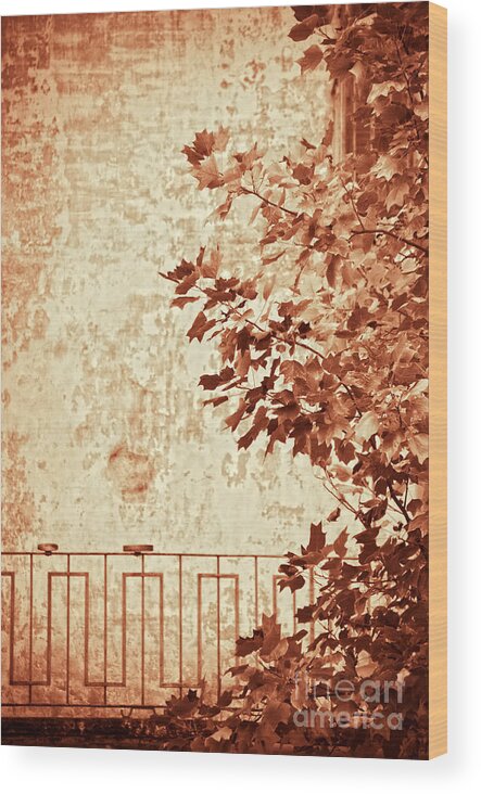 Sepia Wood Print featuring the photograph Fall II by Silvia Ganora