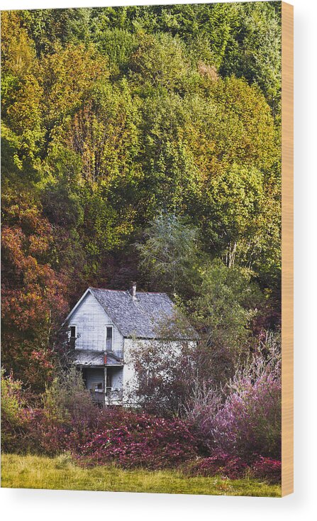 Appalachia Wood Print featuring the photograph Farmhouse in Fall by Debra and Dave Vanderlaan