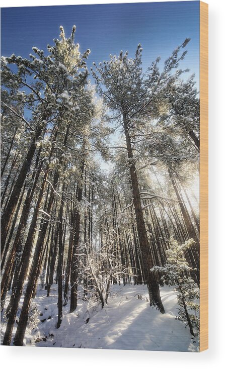 Snow Wood Print featuring the photograph First Snow by Saija Lehtonen