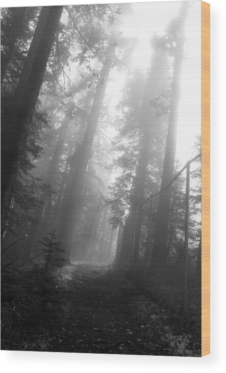 Fog Wood Print featuring the photograph Foggy Path by Jim Norwood