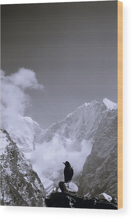 Freedom Wood Print featuring the photograph Himalayan Enchanting Solitude by Shaun Higson