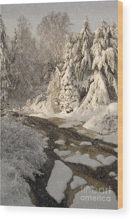 Snow Wood Print featuring the photograph Fresh Snow by Alana Ranney