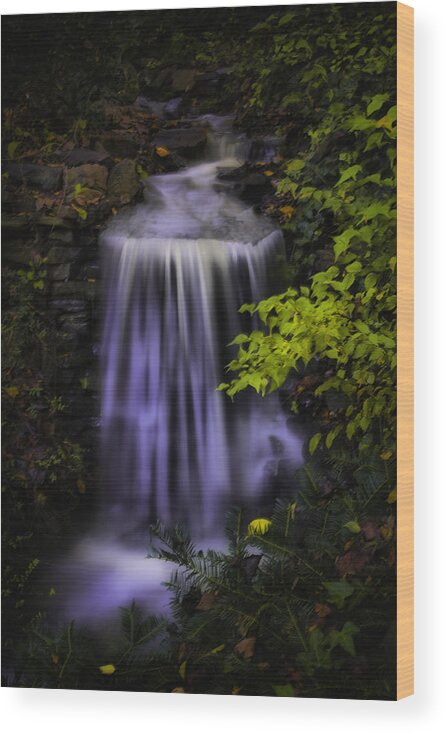 Clemson University Wood Print featuring the photograph Garden Falls by Lynne Jenkins