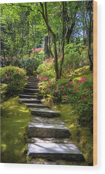 Hdr Wood Print featuring the photograph Garden Path by Brad Granger