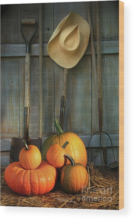 Agriculture Wood Print featuring the photograph Garden tools in shed with pumpkins by Sandra Cunningham