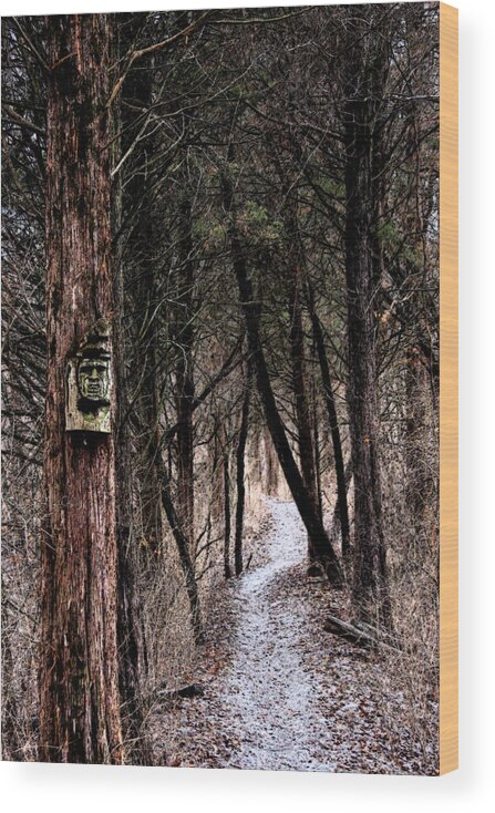 Forest Wood Print featuring the photograph Gently Into The Forest My Friend by Marie Jamieson