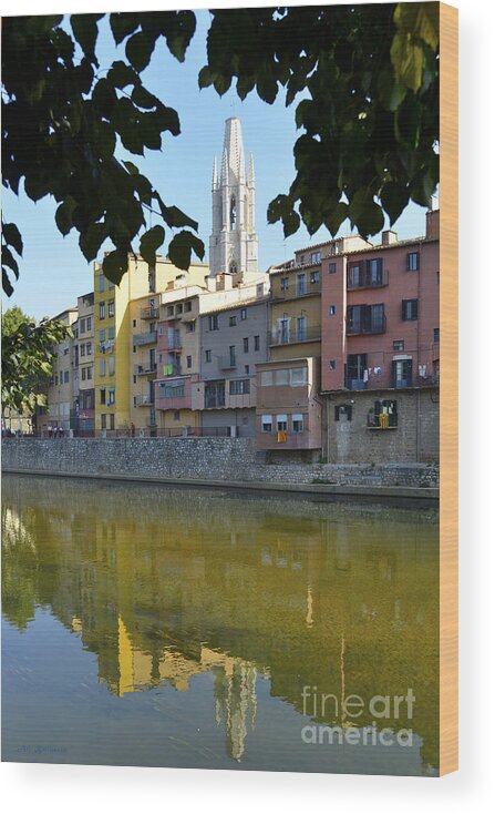 Gerona Wood Print featuring the photograph Girona 2012 6 by Arik Baltinester