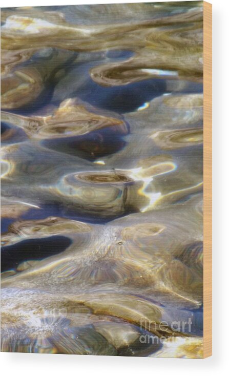 Lake Wood Print featuring the photograph Golden Water by Gary Brandes