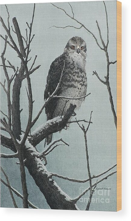 Winter Wood Print featuring the painting Goshawk by Robert Hinves