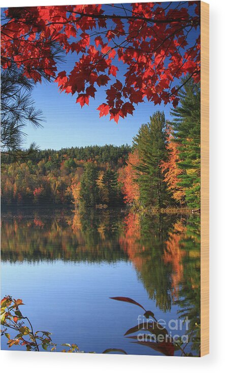 grafton Pond Wood Print featuring the photograph Grafton Pond by Butch Lombardi