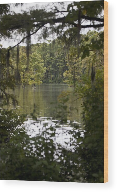 Greenfield Lake Wood Print featuring the photograph Greenfield Lake by Christina Durity
