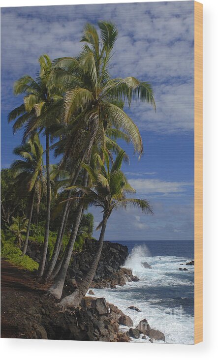 Hawaii Wood Print featuring the photograph Hawaii by Bob Christopher