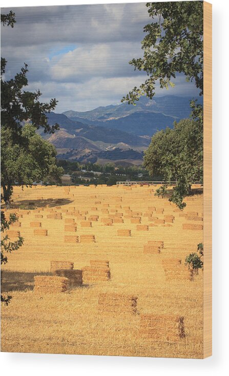 Santa Ynez Wood Print featuring the photograph Hay Field With Mountain Background by Dina Calvarese