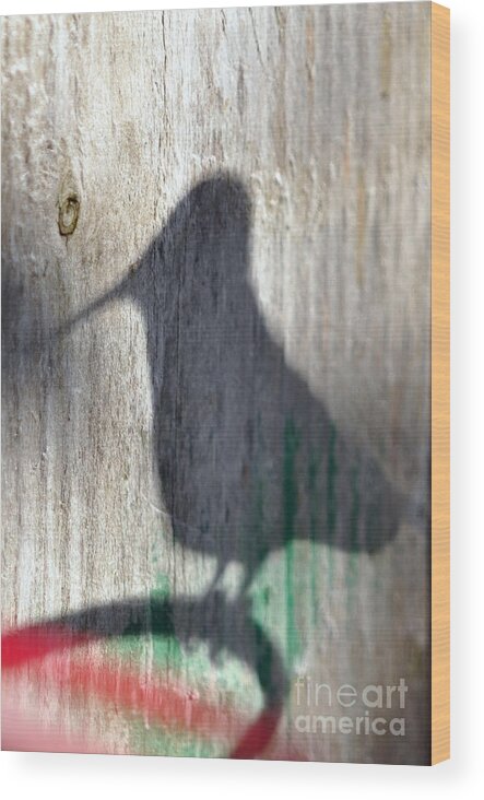 Hummingbird Wood Print featuring the photograph Hummingbird Shadow Silhouette by Laura Mountainspring