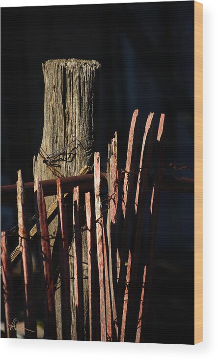 Fence Wood Print featuring the photograph In the Shadow of the Past by Vicki Pelham