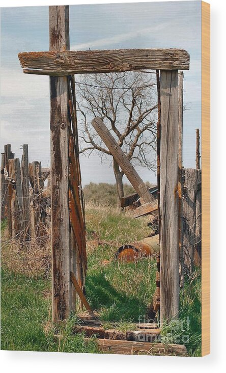 Landscape Wood Print featuring the photograph Into the Past by Anjanette Douglas