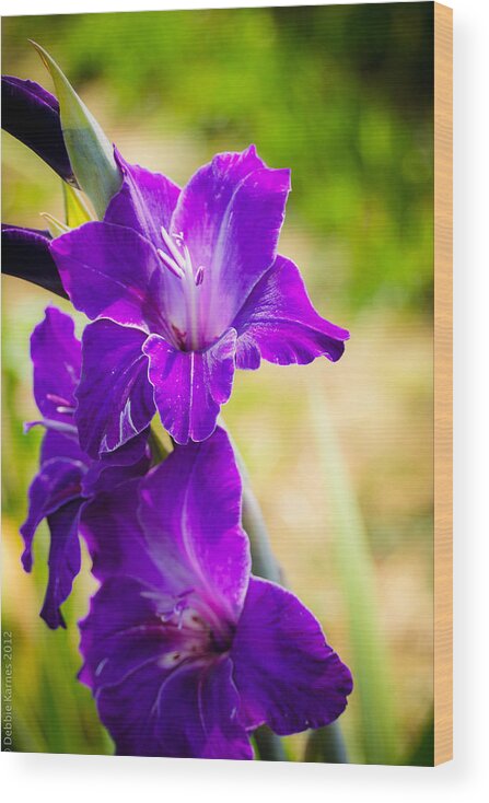 Purple Wood Print featuring the photograph Iris by Debbie Karnes