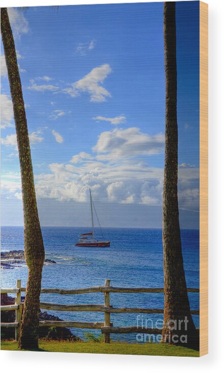 Kapalua Bay Wood Print featuring the photograph Kapalua Bay View by Kelly Wade